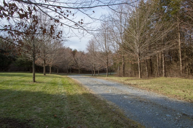 sunny river ny property