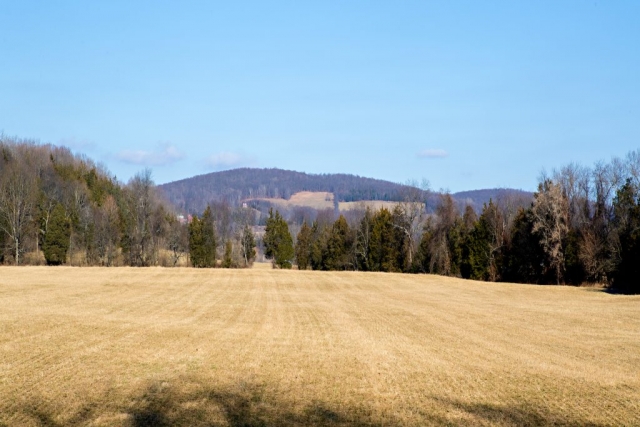 sunny river farm pine plains