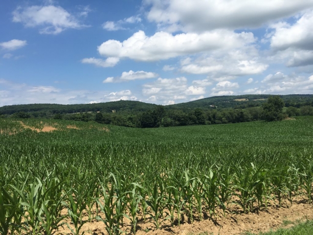 B&B Dutchess county vacation